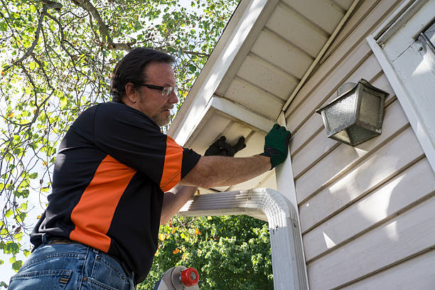 Professional Junk Removal in Pemberville, OH